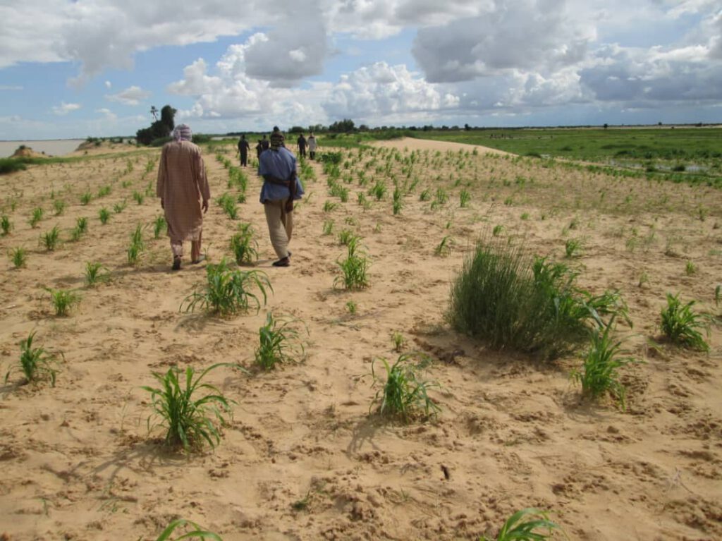 Environnement 480240871 9114841738570176 5268100703440680585 n